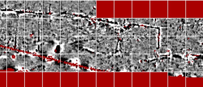 UMD1_4View1 UMD1_4View1
